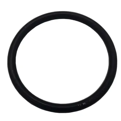 Lister Tankreinigung O Ring für Einspülbecher Sonderangebot