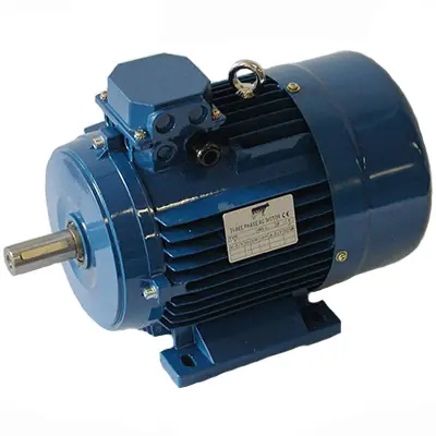 Garantierte Lieferung 4 KW Elektro Motor Dairymaster Vakuumpumpe