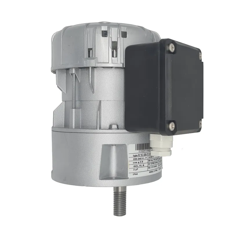 Rührwerksmotor R 1C 225 F 6 BC 220V Etscheid Must-Have