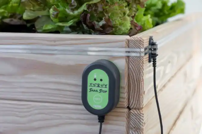 Schneckenzaun Elektrisch 9 Volt SnailStop für Hochbeete Top-Seller