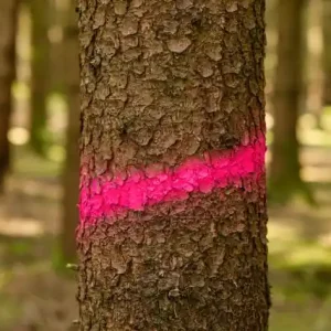 Neue Ware Markierungsspray Forst und Bau Neon pink 500 ml