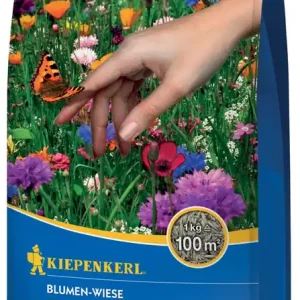 Echt Blumen-Wiese 1 kg | Blühmischung | Kiepenkerl Mehrjährig
