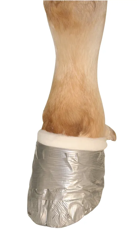 Klauenband, silber Angebot