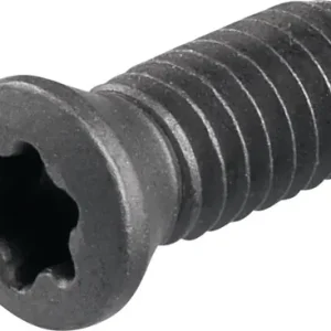 PROMAT Spannschraube WS0410 Größe T15 WS0410 T15 Expressversand