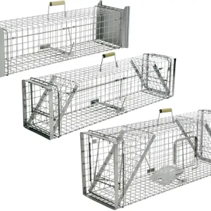 Versand Am Gleichen Tag cit® Kastenfalle "Alive Predator Super"
