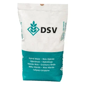 Mais-Saatgut DSV Honoreen (ca. S 290) Top-Seller