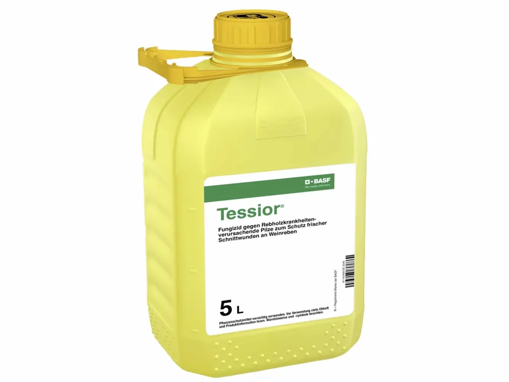 Neue Ware BASF Tessior