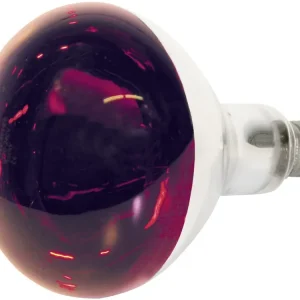 KERBL Wärmelampe Hartglas Letzte Chance