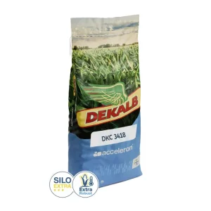 Highlight Mais-Saatgut Dekalb DKC 3418 (S 250; ca. K 250)