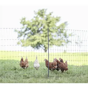 Preisknaller Ako Geflügelzaun "PoultryNet Premium" stromführend