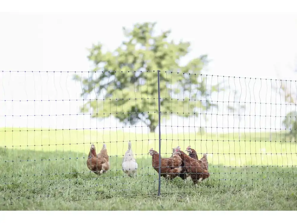 Preisknaller Ako Geflügelzaun "PoultryNet Premium" stromführend