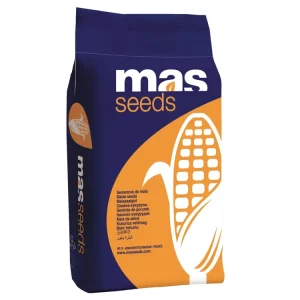 Mais-Saatgut INTERACTIS (ca. S 260; K 260) Bestseller