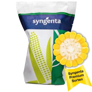Schnäppchen Mais-Saatgut SY LARSON ZS (ca. S 180)