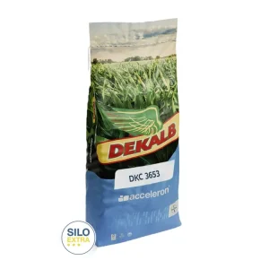 Neu Im Sortiment Mais-Saatgut Dekalb DKC 3653 ZS (S 260; ca. K 260)