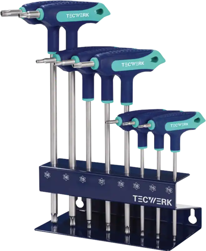 Finale Aktion Tecwerk Torxschlüssel-Satz mit T-Griff TX 8-tlg.