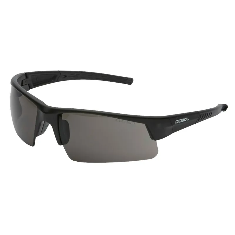 Schutzbrille 'Sports Line' getönt Echt