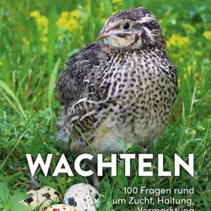 Top-Preis Wachteln