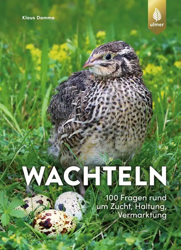 Top-Preis Wachteln