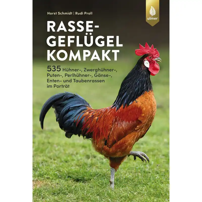 Aktuell Rassegeflügel kompakt