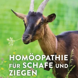 Heißes Angebot Homöopathie für Schafe und Ziegen