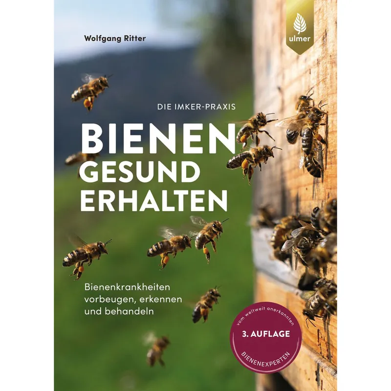 Bienen gesund erhalten Letzte Chance