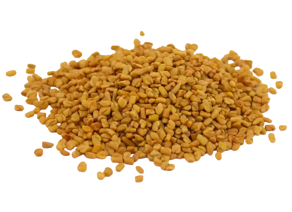 Mega-Angebot Almi Bockshornklee 500 g
