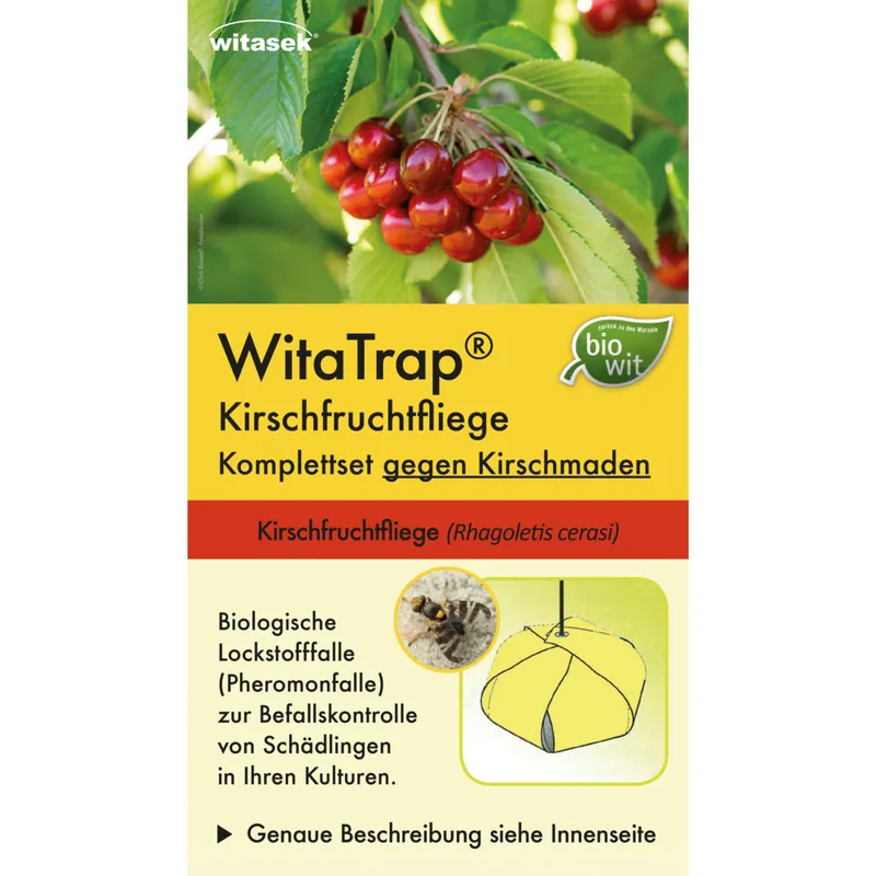 Beliebt Kirschfruchtfliege Komplett Set (Rhagoletis cerasi)