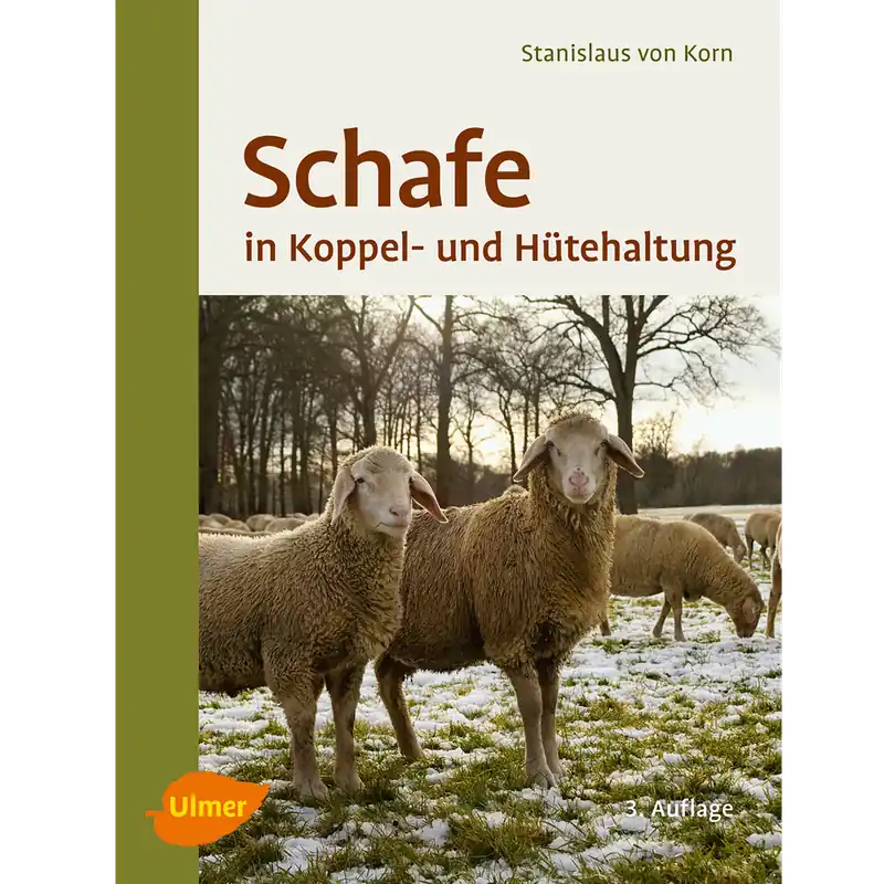 Abverkauf Schafe in Koppel- und Hütehaltung