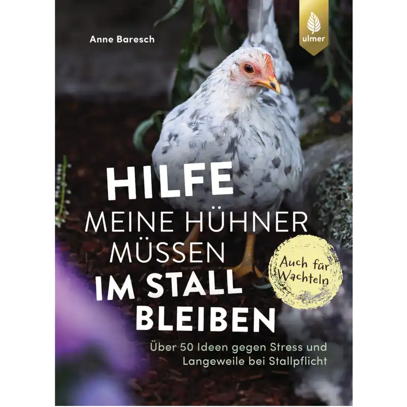 Must-Have Hilfe meine Hühner müssen im Stall bleiben