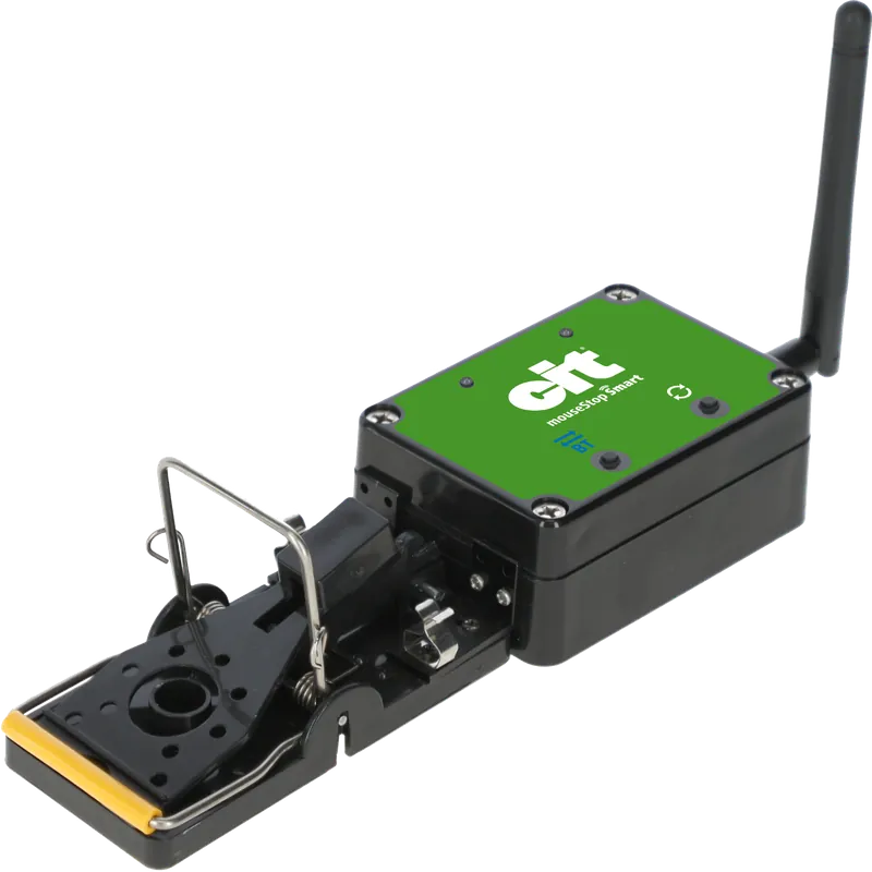 Schnäppchen cit Mausefalle Smart MouseStop