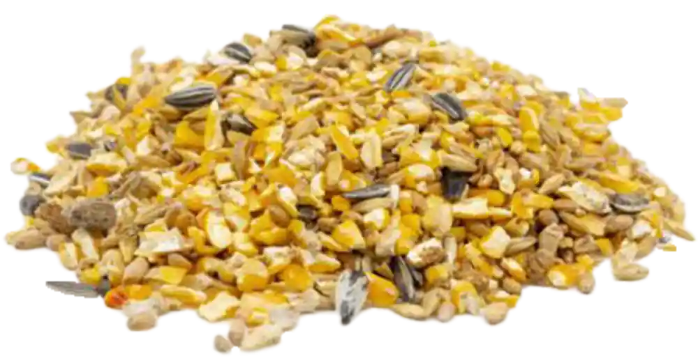Sonderaktion Fixkraft Geflügelkorn 25 kg