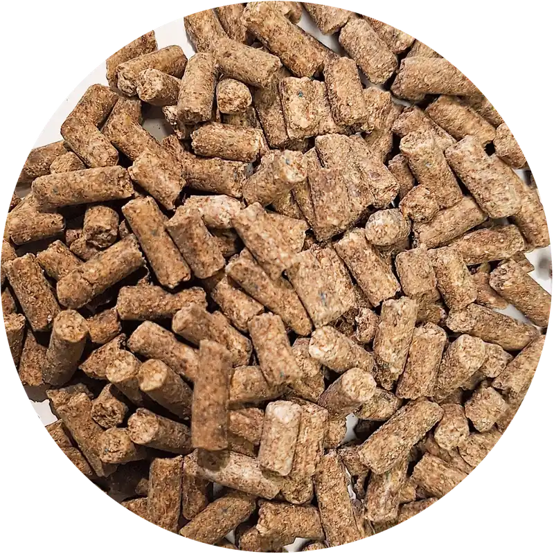Pferdefutter MuscleMineral 5 Finale Aktion