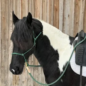 Reithalfter Horsemanship - seitlich mit Messingringen Braun / Beige Online Kaufen
