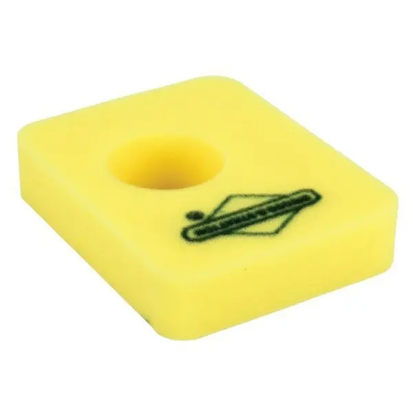 Luftfilter für Briggs & Stratton Motor 799579 Direktkauf