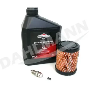 Online Kaufen Briggs & Stratton Service Kit Wartungsset INTEK™ OHV