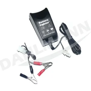 Versand Am Gleichen Tag Batterieladegerät Erhaltungsladegerät 12 Volt für EFCO Rasentraktor EF 103/16 K