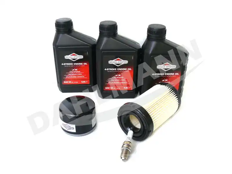 Briggs & Stratton Wartungskit 992243 Expressversand