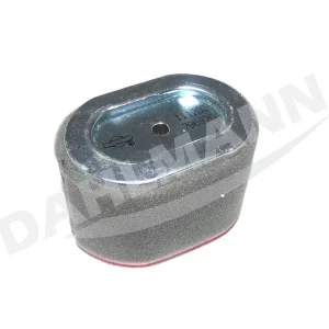 Luftfilter für Briggs & Stratton Motor 796970 Nur Heute