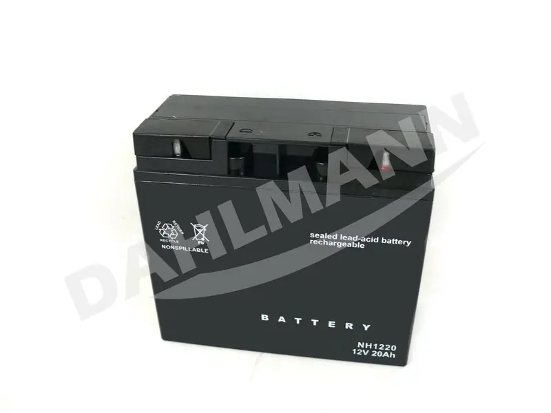 Batterie Starterbatterie GEL 12 Volt 20 Ah für STIGA Rasentraktor Estate 9122 Echt