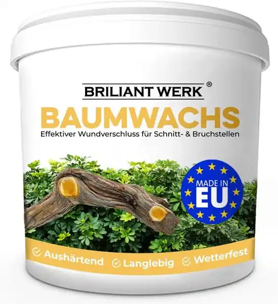 Briliantwerk 350g Baumwachs Bestpreis