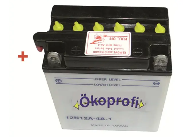 Nur Heute Batterie 12N 12A-4A-1