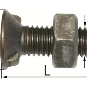 Letzte Chance Pflugschraube 16 x 70, 2 Nasen DIN 11014
