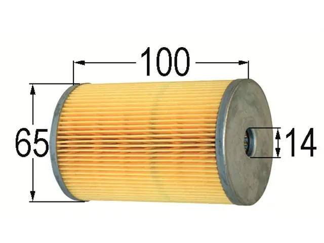 Kraftstofffilter P725X Direktkauf