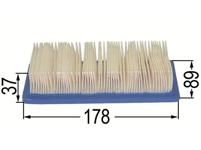 Luftfilter zu B&S 491384 Günstig