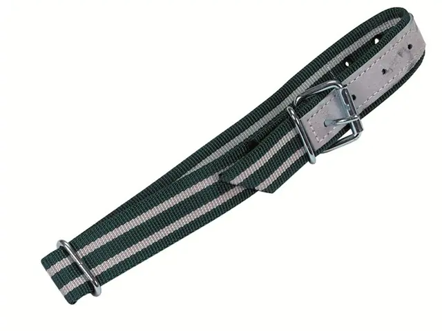 Halsband 85 x 4 cm, mit Rollschnalle Preiswert