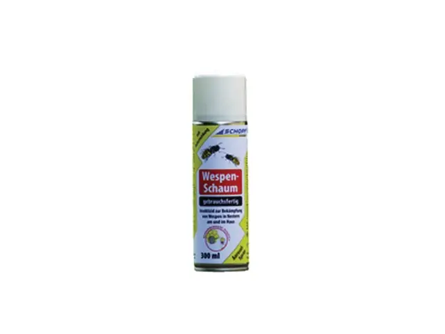 Preisreduziert Wespen Schaum 300ml