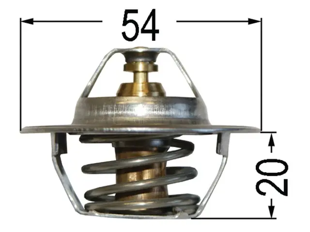 Thermostat zu MF 2485666/1446165M91 Super-Preis