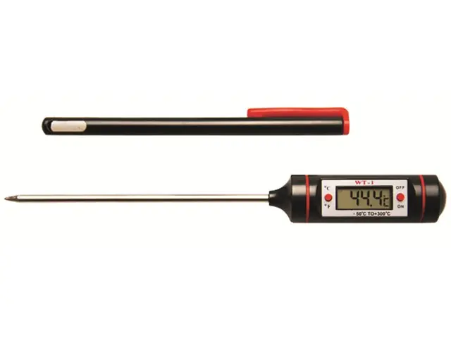 Digital-Thermometer m. Edelstahl-Messsonde -50/+300 Online Kaufen