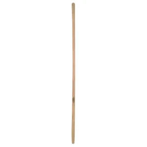 Aktuell Kotkrückenstiel 150cm/36mm Esche