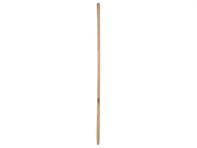 Aktuell Kotkrückenstiel 150cm/36mm Esche